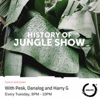 The History of Jungle Show - Episode 125 - 14.01.20 by The History of Jungle Show