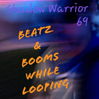 shadowwarrior69 - Beatz &amp; Booms While Looping (O) Version by shadowwarrior69