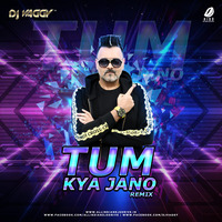 Tum Kya Jano (2019 Mix) - DJ Vaggy by AIDD