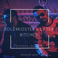 IN Vivo vs Prince Karma - Rolerkoster Bitches ( DJ Pozna &amp; Backboy MashUp 2019 ) by DJ Pozna