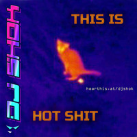 DJ SHOK - This Is Hot Shit by DJ Shok