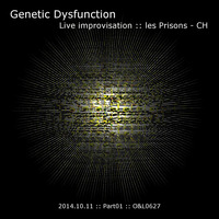 Live improvisation at les Prisons - CH - 2014.10.11 - Part01 by Genetic Dysfunction