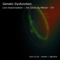 Live improvisation at les Caves du Manoir - CH - 2014.12.06 - Part04 by Genetic Dysfunction