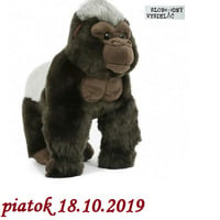 V prvej línii - 2019-10-18 Aktuálny vývoj v kauze Gorila by Slobodný Vysielač