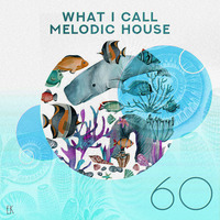 What I Call Melodic House Vol.60 by Emre K.