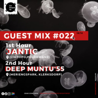 Guest Mix #022 // 1st Hour : Jantic [Limpopo, Polokwane] by The Moody Niights Podcast