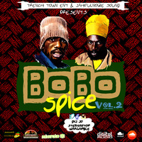 Bobo Spice Vol.2 by DJ JO TRENCH TOWN ENT.