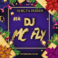 DJ BIG P &amp; FRIENDS 14.12 DJ MC FLY by DJ BIG P PODCAST