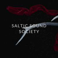 Saltic Sound Society  .    Fall on the dance floor (original) 130 bpm by Dmitriy