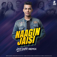 Naagin Jaisi (Sangeetkaar) Tony Kakkar - DJ Amit Gupta Remix by Amit Gupta