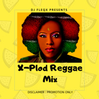 DJ FLEQX - XPLOD REGGAE MIX by Fleqx