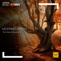 Morning-Breath - [The Hidden Beauties III] - By Diana Emms - Vol 19 by Diana Emms