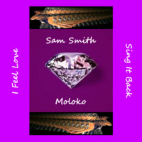 10's Mr. S. Smith Esq. vs Moloko - Sing I Feel Love Back (Franco Lippi Mashup) by JohnnyBoy59