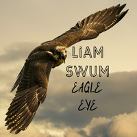 Liam Swum - Eagle Eye (original cut mix) by Liam Swum