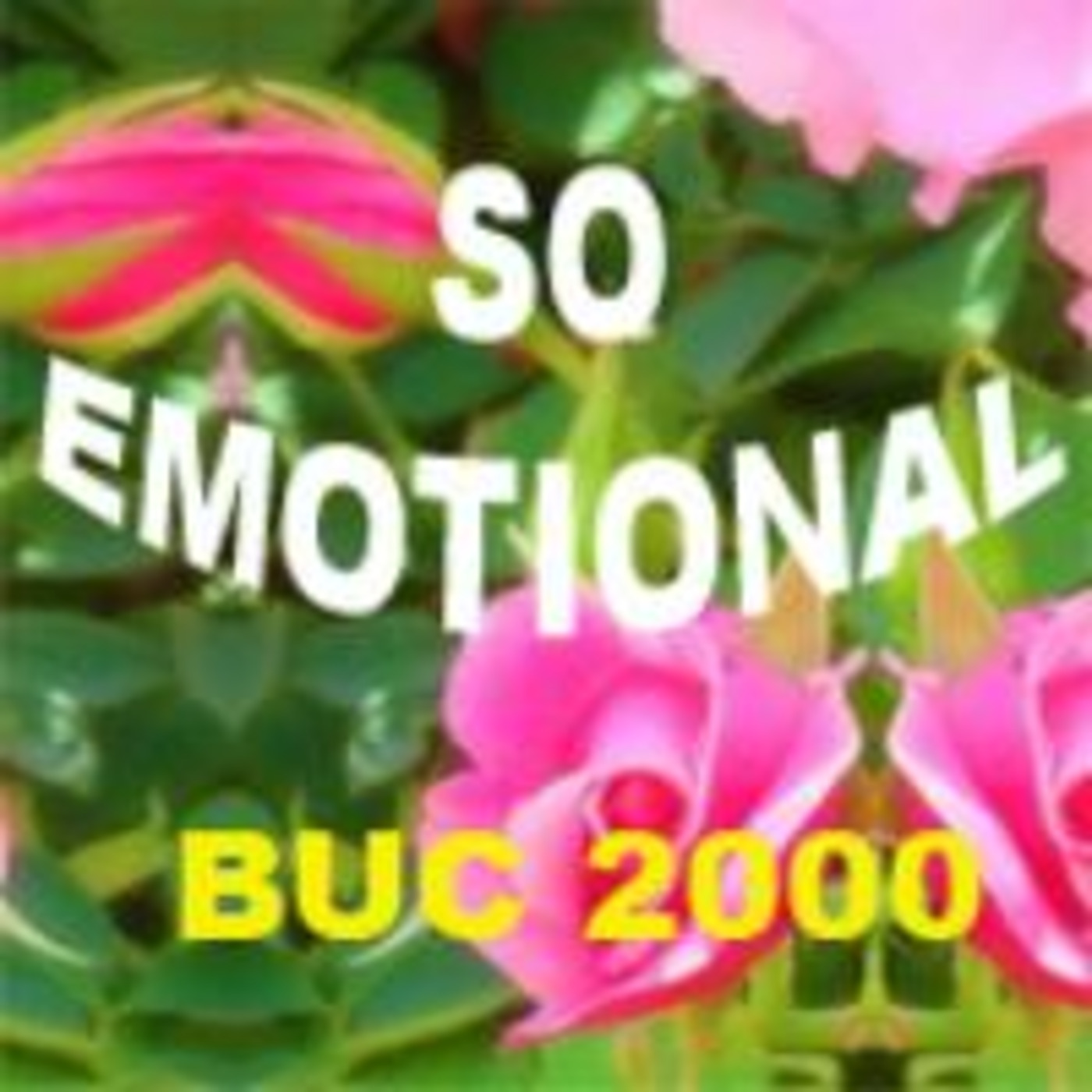 DJ Buc_So Emotional (2000) - Part 2
