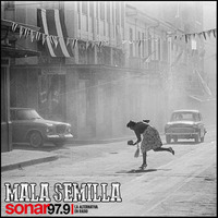 Mala Semilla Nº 169 - 11-11-2019 by Mala Semilla - FM Sonar 97.9