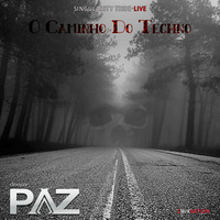 O Caminho Do Techno - Singularity Tribe - Live by Pazhermano