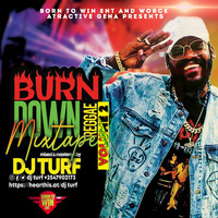 BURN DOWN REGGAE  MIXX 2 DJ TURF-[Born To Win Ent]-[2019] by DJ Turf