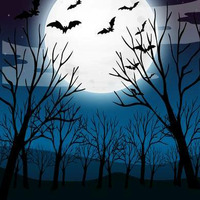 Halloween 2019 - A Spooky Woods by Adam Tuck
