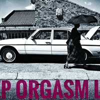 DEEP ORGASM LIVE 66 (NEO SOUL_CHILLOUT) by JACKASS_DEEPORGASMLIVE