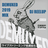 Demuxed 2019 Mix by DJ Reelup