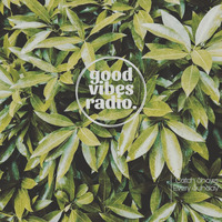 Good Vibes Radio Show 035 - 1st Hour With Blackmonk ( Beats &amp; Love ) by Good Vibes Radio Podcasts
