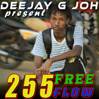 255 Free Flow Best Of 2019 Mixtape by DJ G JOH