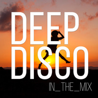  Truly House I Deep Disco Music #34 I Best Of Deep House Vocals by Deep Disco Music