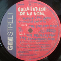 Queen Latifah - Mama Gave Birth To The Soul Children (The Infant Mix) by cipher061172