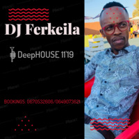 Deep House 11 '19 by Ferkeila