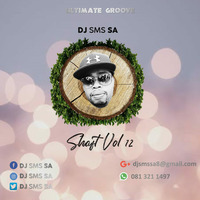 Ultimate Groove Shaft Vol 12 By DJ SMS SA by DJ SMS SA