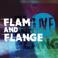 Flam and Flange Live - November 2019 by Stu McGoo