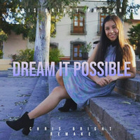 Dream It Possible (Chris Bright Remake) by Chris Bright ◾◽