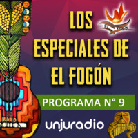 Especiales de El Fogón - PG 9 - Bloque 2 by El Fogón Jujuy