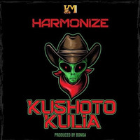 Harmonize - Kushoto Kulia by Pellfy