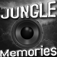 JUNGLE Memory's 1994 (www.sparks-fm.com) by Bass Flow Radio