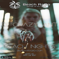 Beach Night's #21 by DJ Crazy Ant