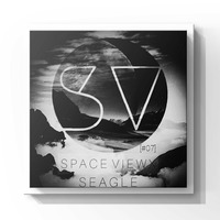 SPACE_VIEWX_[#07]_S_E_A_G_L_E (Iceland,Dub Techno) by SPACE VIEWX