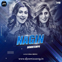 Nagin Gin Gin A DJ DNA Remix (Djremixsong.in) by DRS RECORD