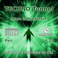 TECHNO Tunnel - Part 27 (tears in the forest) by OsZ
