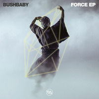 Bushbaby - Force (Original Mix) by mrokufp