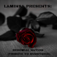 Redemial Nation {Tribute To Buddynice} by LAMINSA