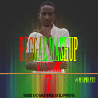 REGGAE MASHUP VOL 7 #mrpirate by Selekta Pwenya
