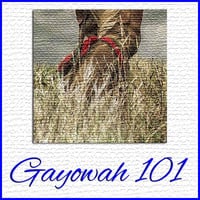 Gayowah 101 - Show #07 by Ohwęjagehká: Haˀdegaenáge:
