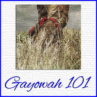 Gayowah 101 - Show #13 by Ohwęjagehká: Haˀdegaenáge: