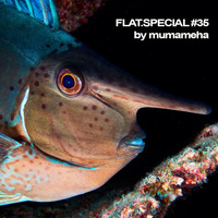 FLAT-SPECIAL-35 by mumameha by Mumameha