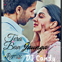 Tera Ban Jaunga (Romantic Love Mix) Dj Candy &amp; DJ Pawas Indiandjs by dj songs download