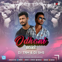 Odhani-MIC (Tapori Dance Mix) DJ TRM x DJ SHS indiandjs by dj songs download