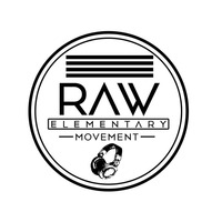 R.E.M. #007 Mixed By Modiyanyewe by Raw Elementary Movement