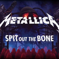 Metallica - Spit Out The Bone(Bass and Guitar cover) by Dado99